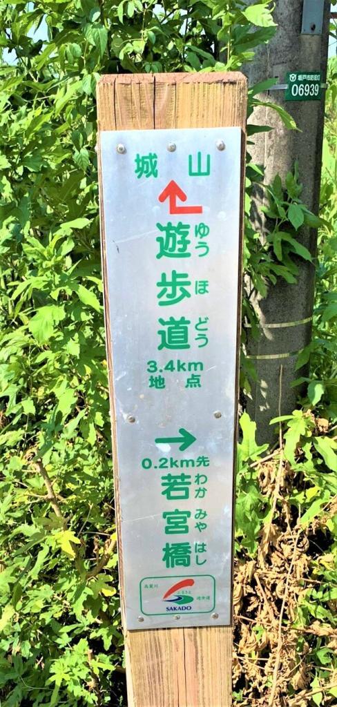 橋