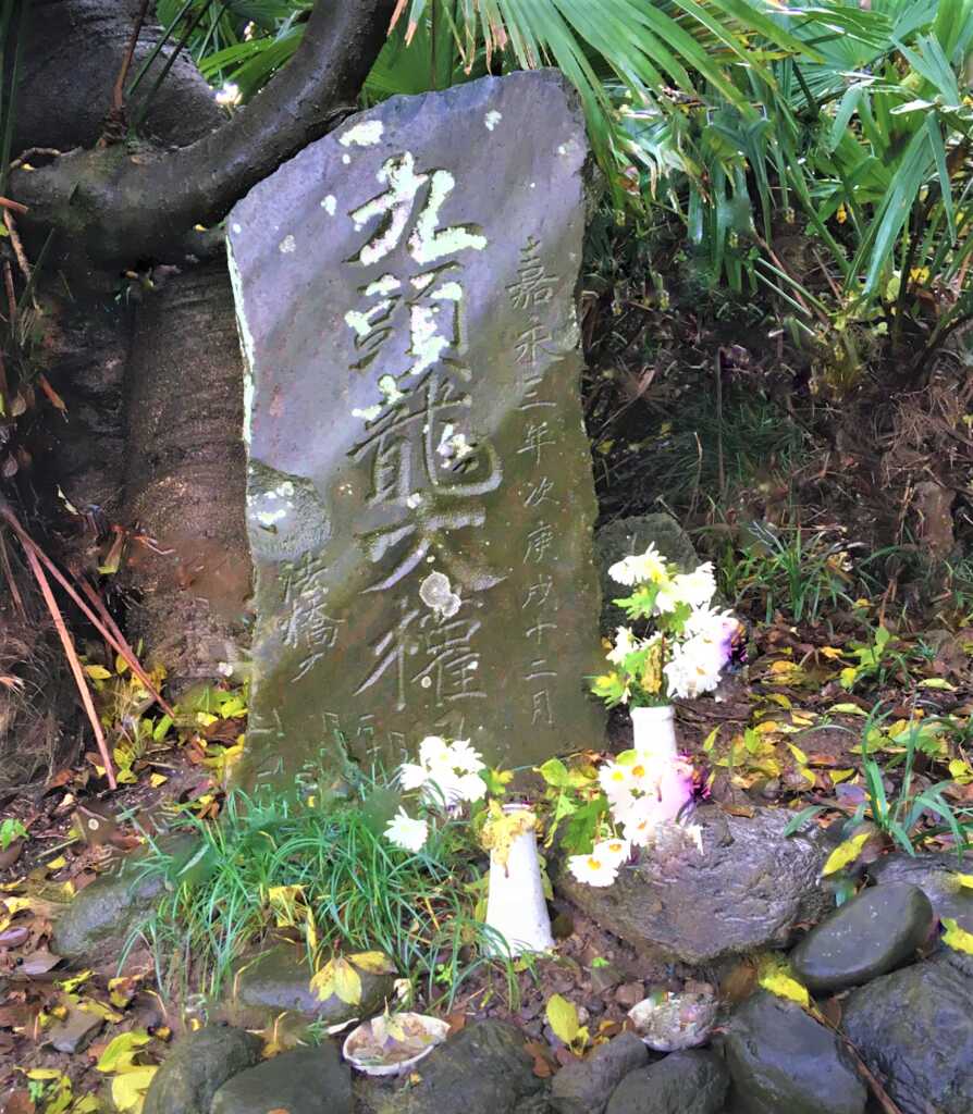 九頭竜