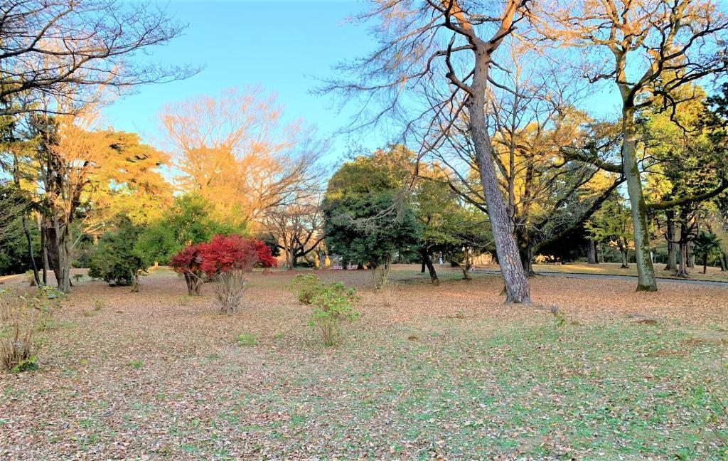 稲荷山公園