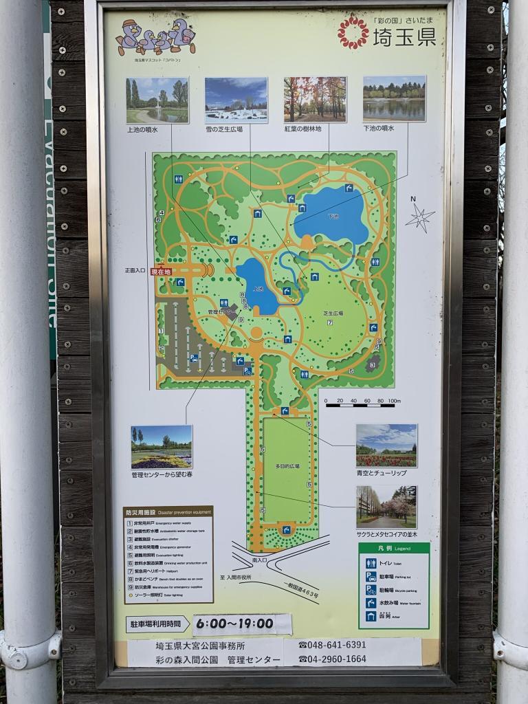 彩の森入間公園