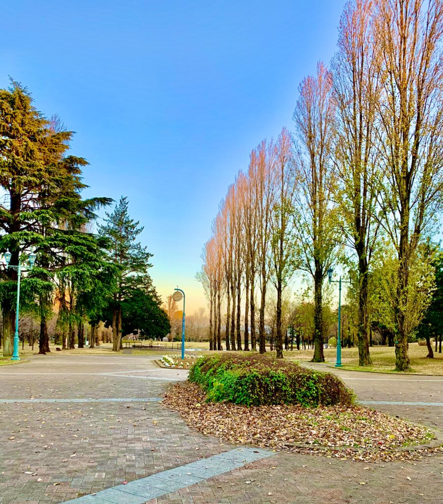 彩の森入間公園