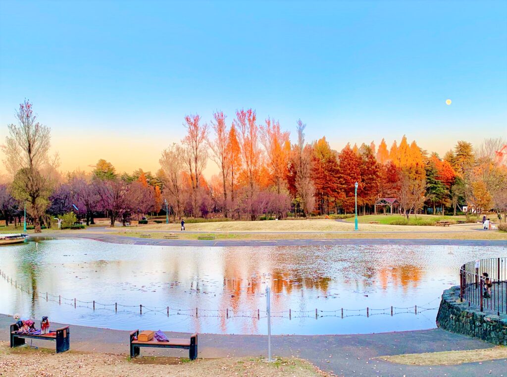 彩の森入間公園