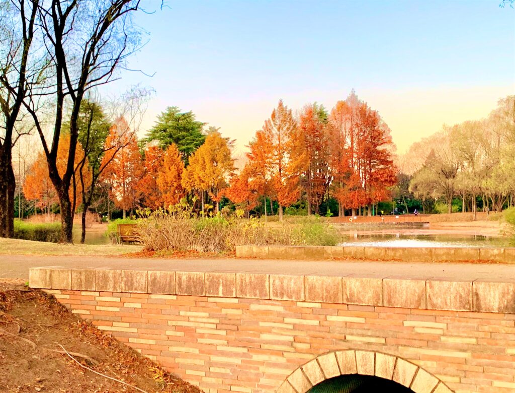 彩の森入間公園
