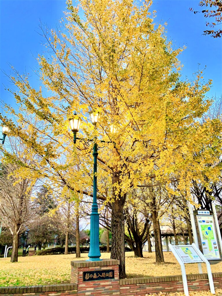 彩の森入間公園
