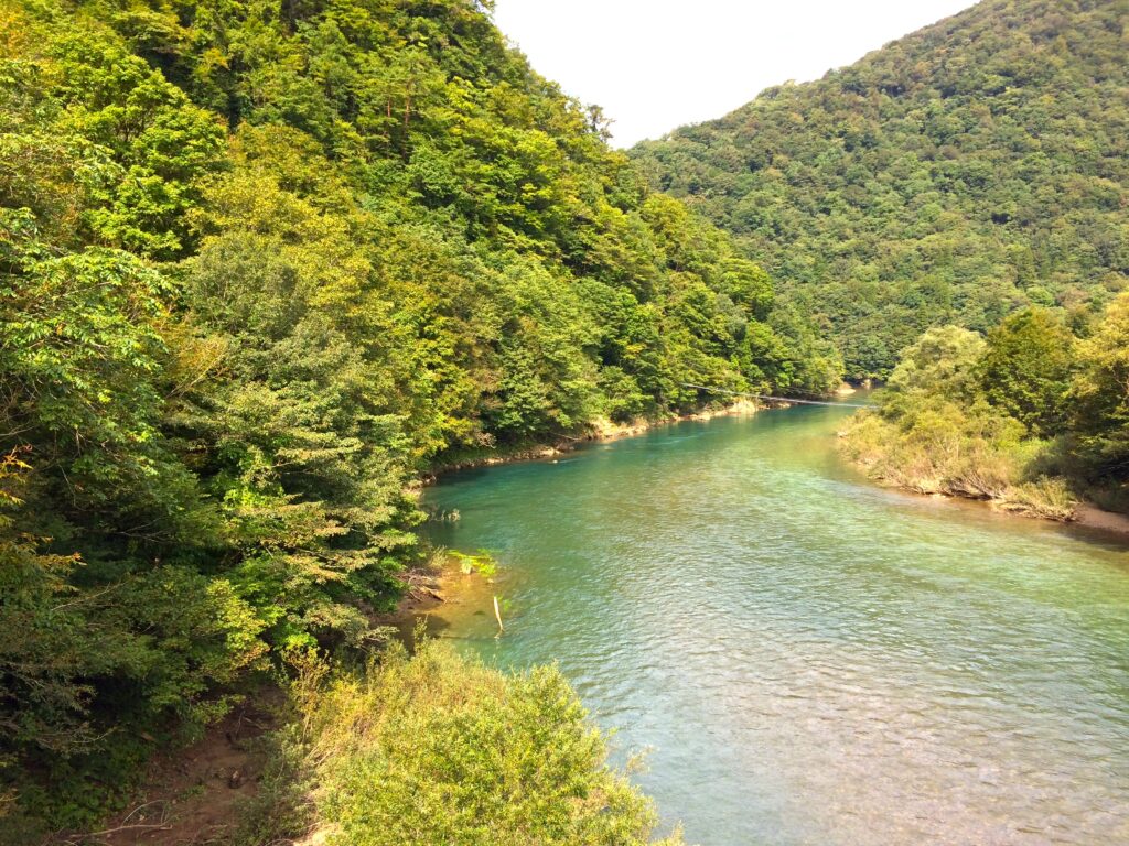 都忘れ