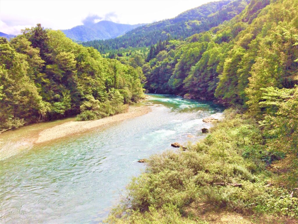 都忘れ