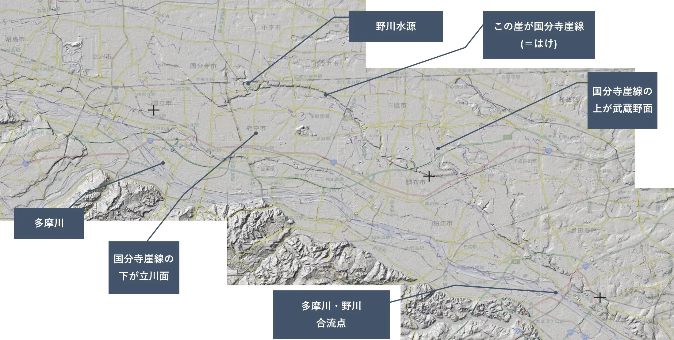 野川・国分寺崖線