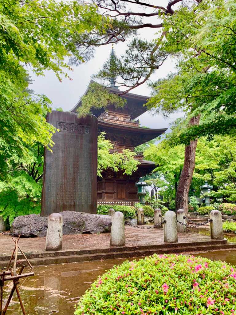 豪徳寺