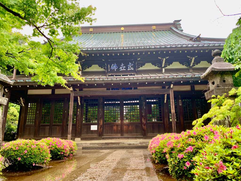 豪徳寺