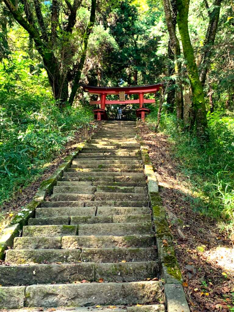 新府
