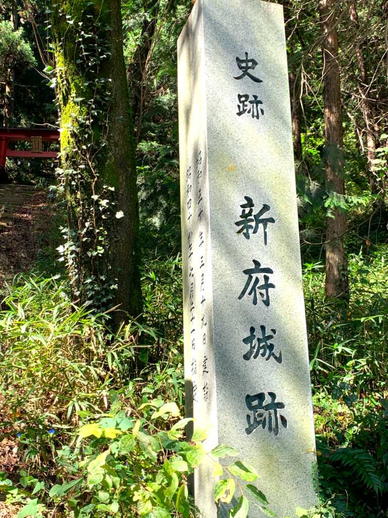 新府