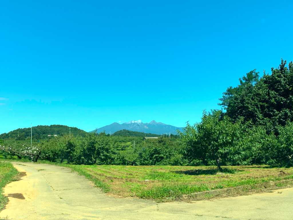新府