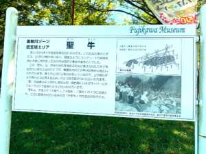 信玄堤