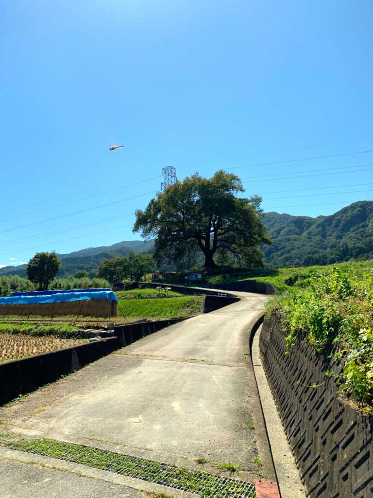 韮崎