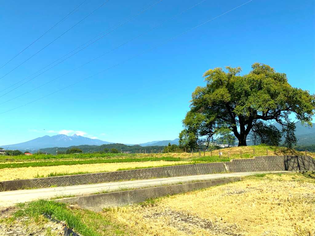 韮崎