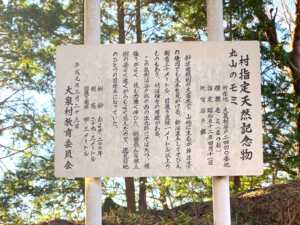 谷戸城