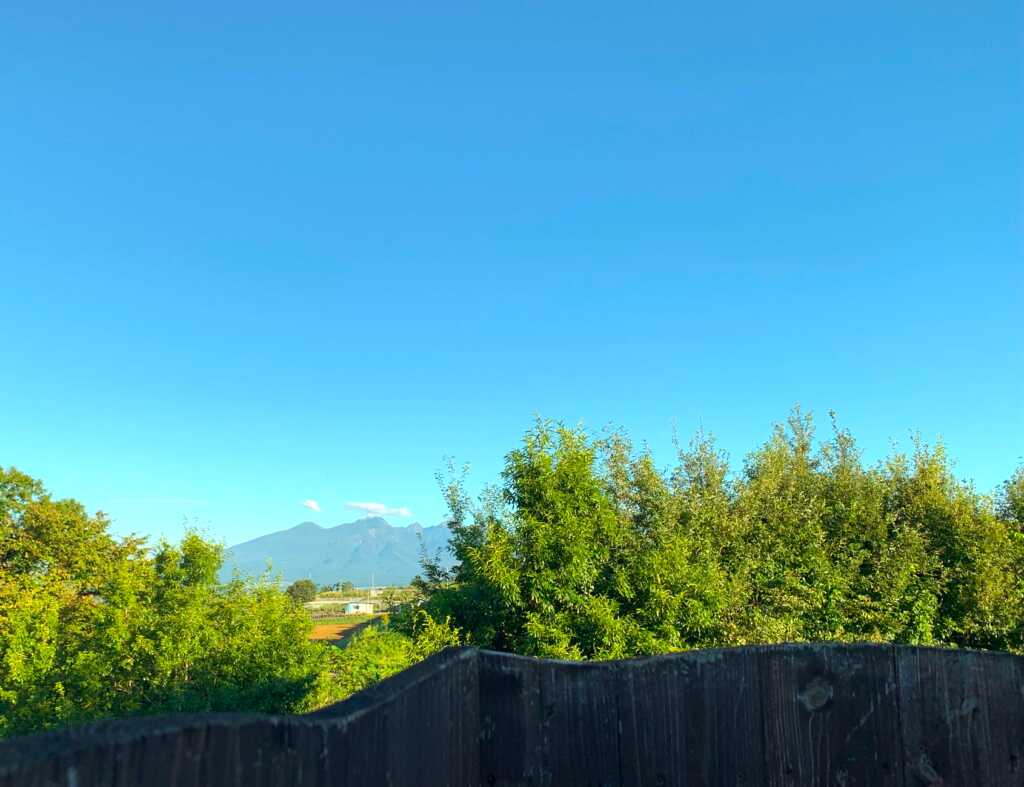 ハイジの村