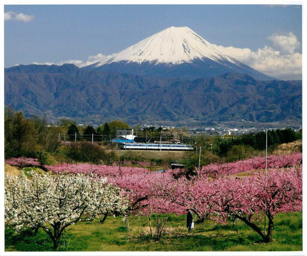 新府