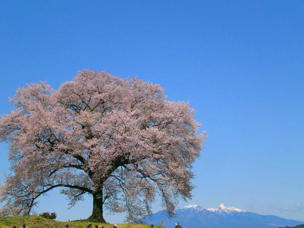 韮崎