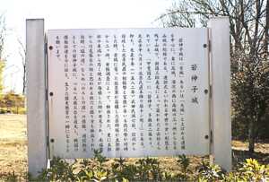 若神子城