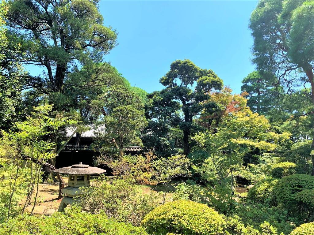 遠山記念館