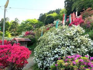 越生　五大尊つつじ公園