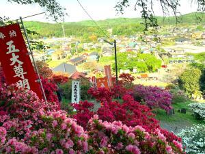 越生　五大尊つつじ公園