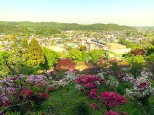 越生　五大尊つつじ公園
