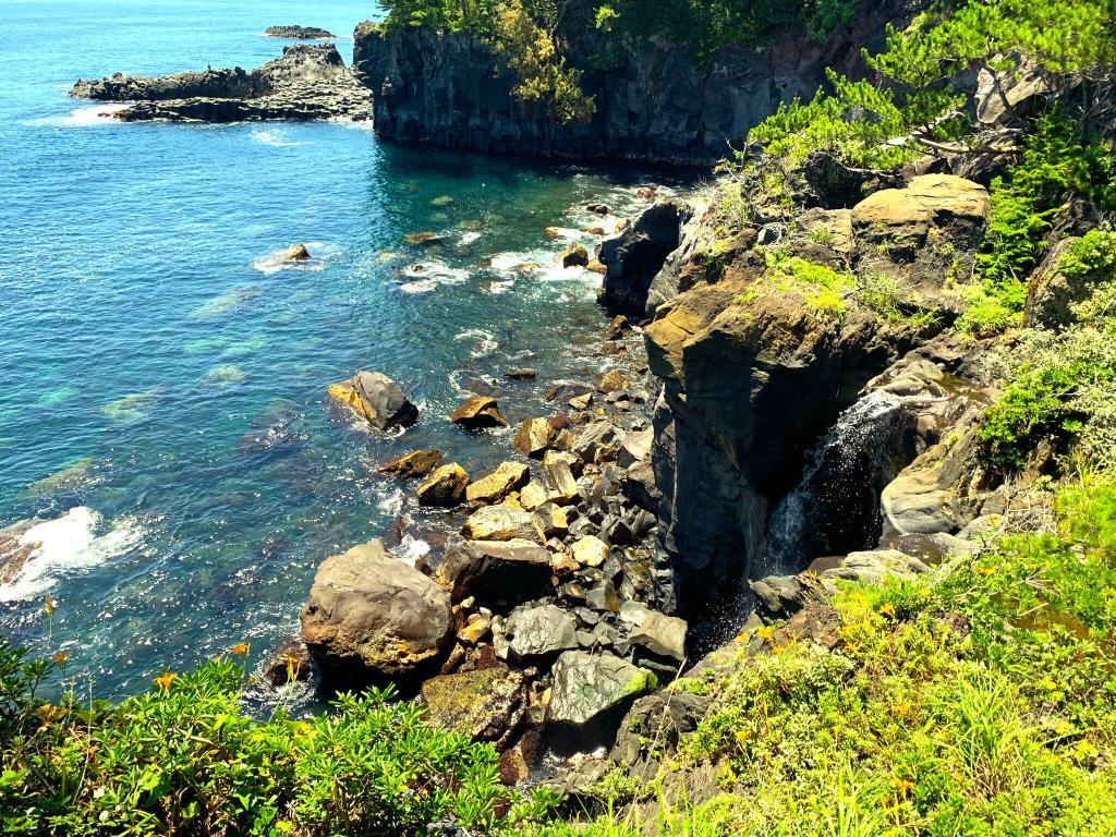 伊豆高原