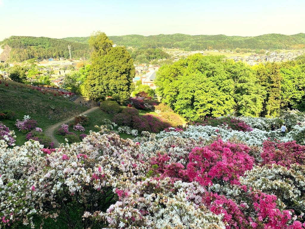越生