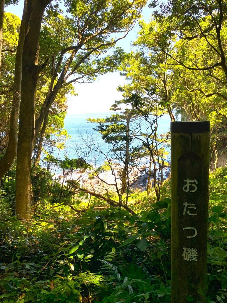 伊豆高原