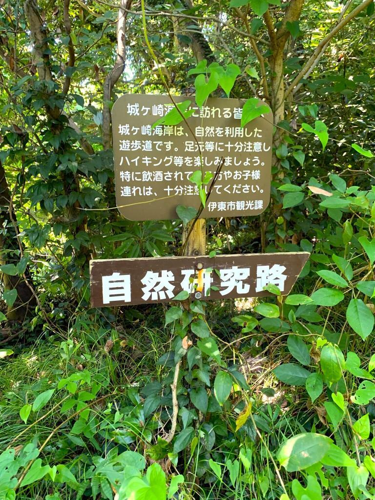 伊豆高原