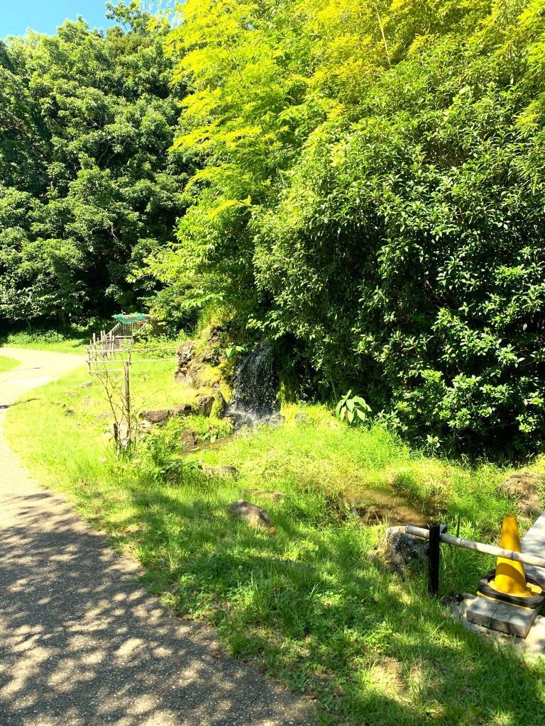 伊豆高原