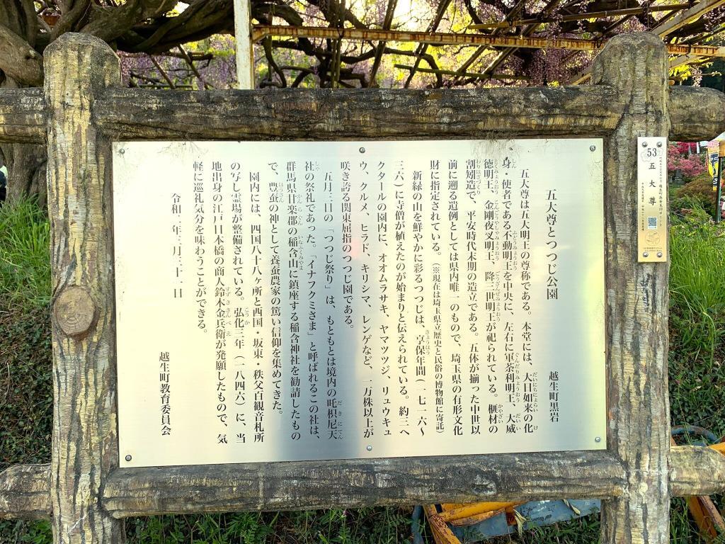 越生