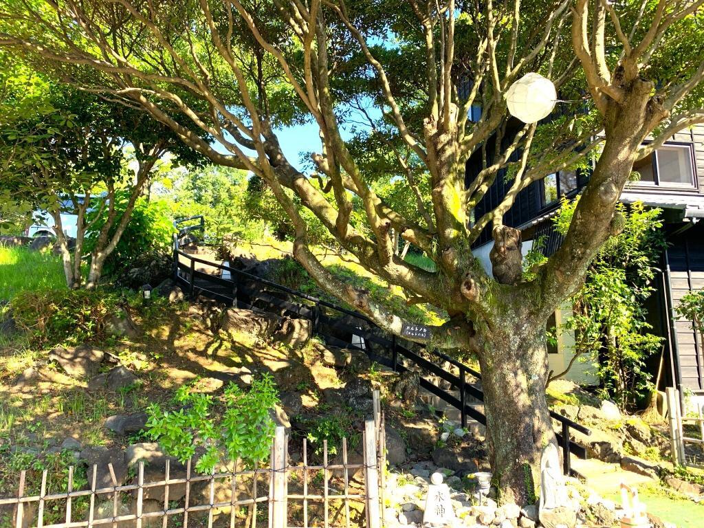 伊豆高原