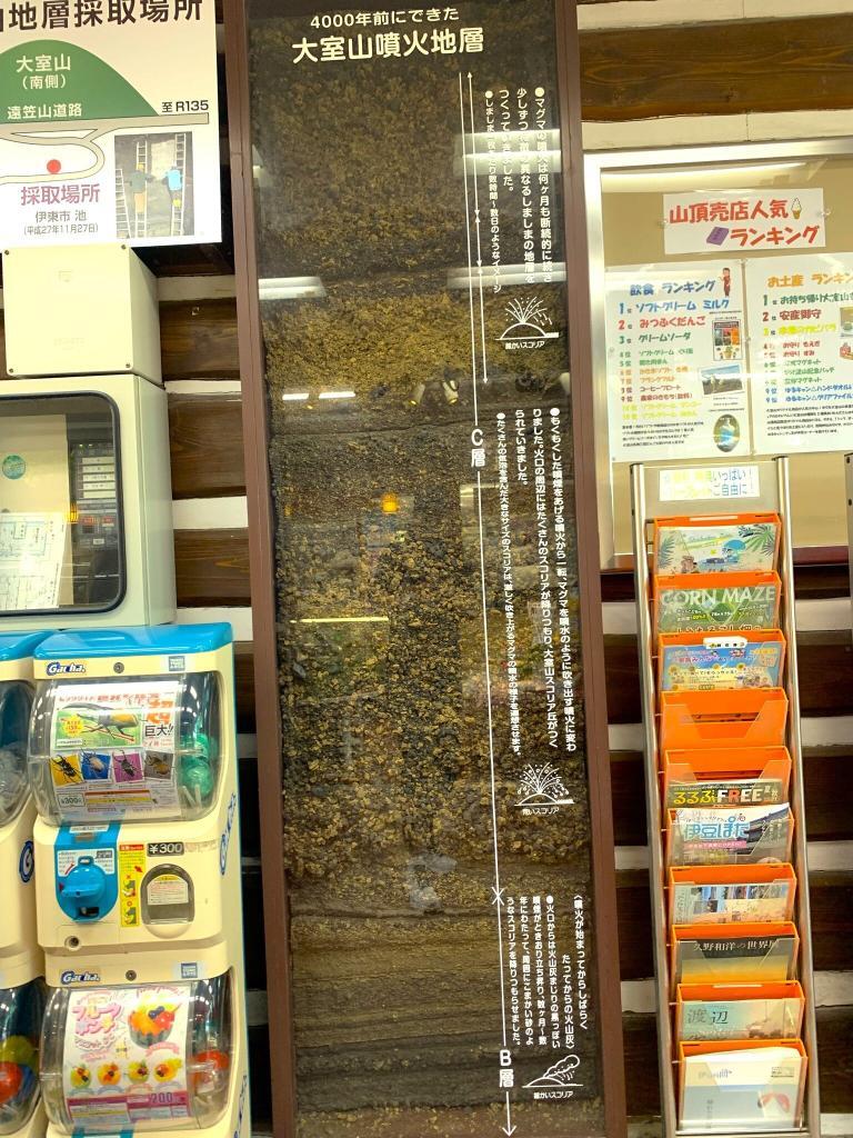 伊豆高原