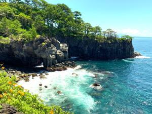 伊豆高原 城ケ崎海岸の自然研究路