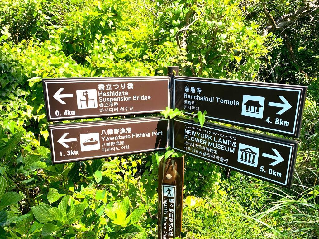 伊豆高原