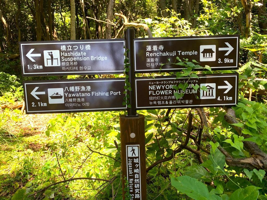 伊豆高原