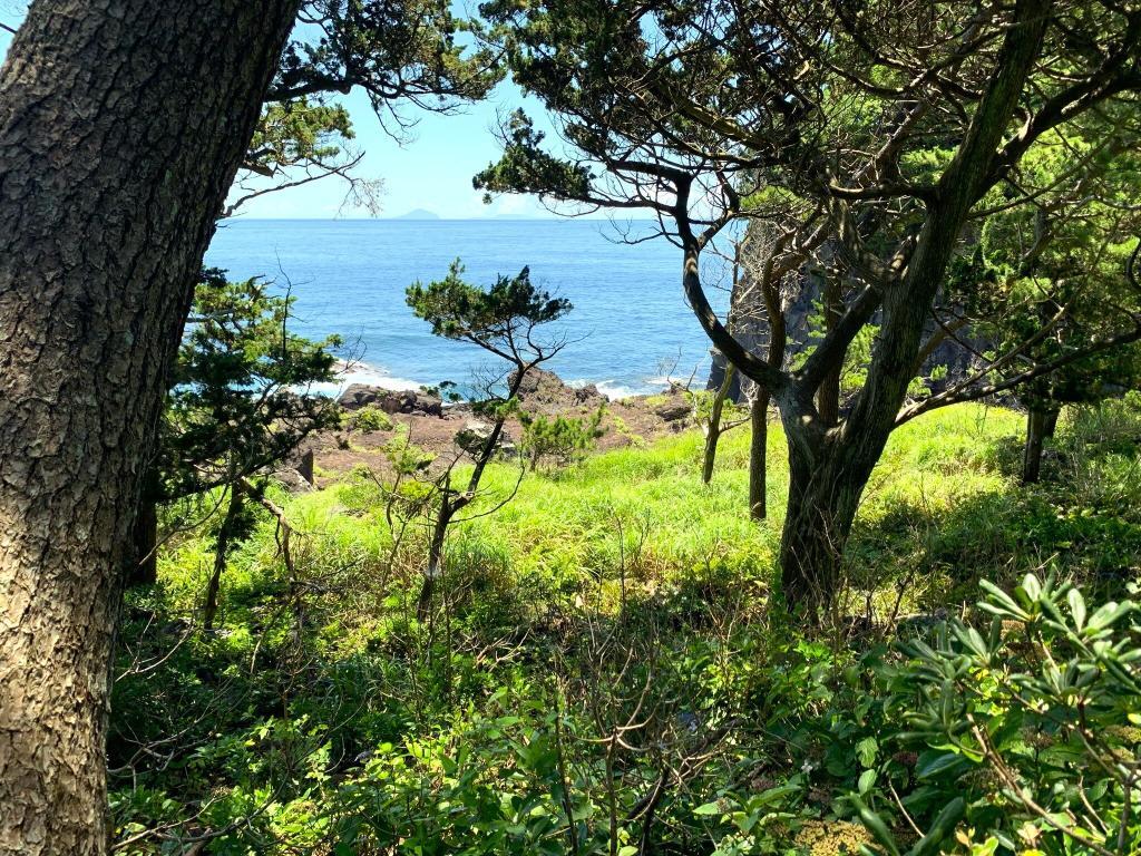 対島の滝