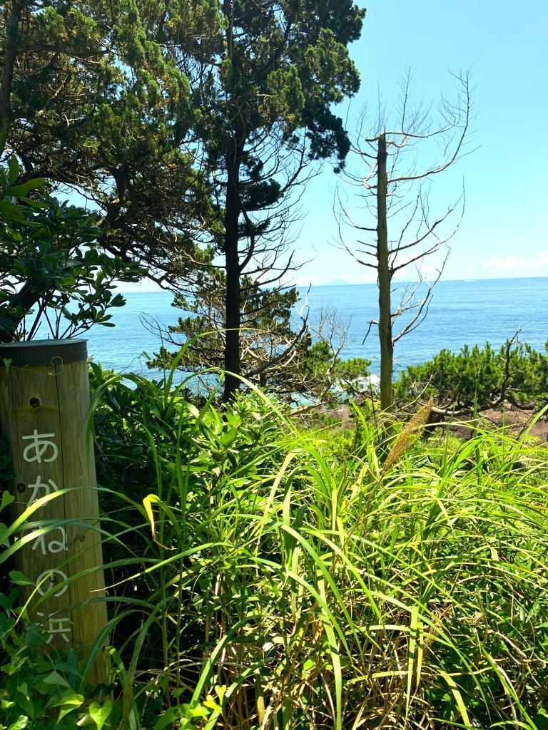 対島の滝