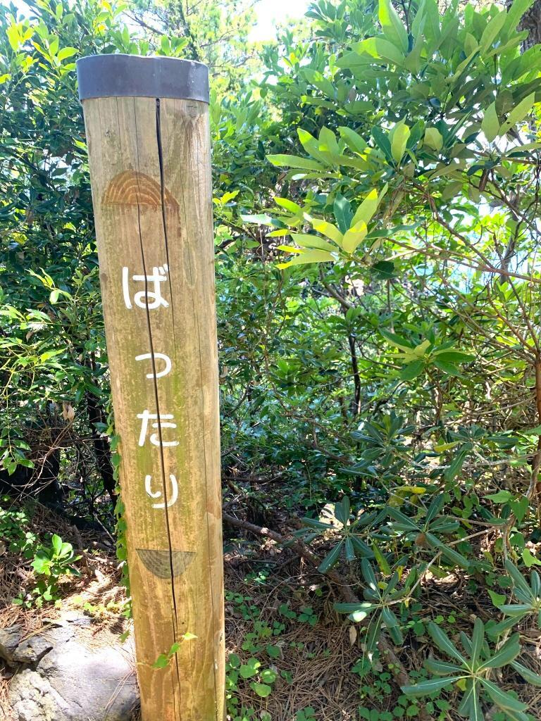 伊豆高原