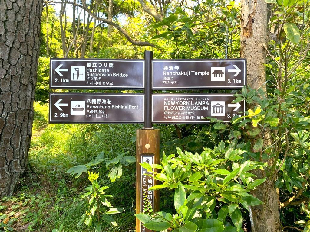 伊豆高原