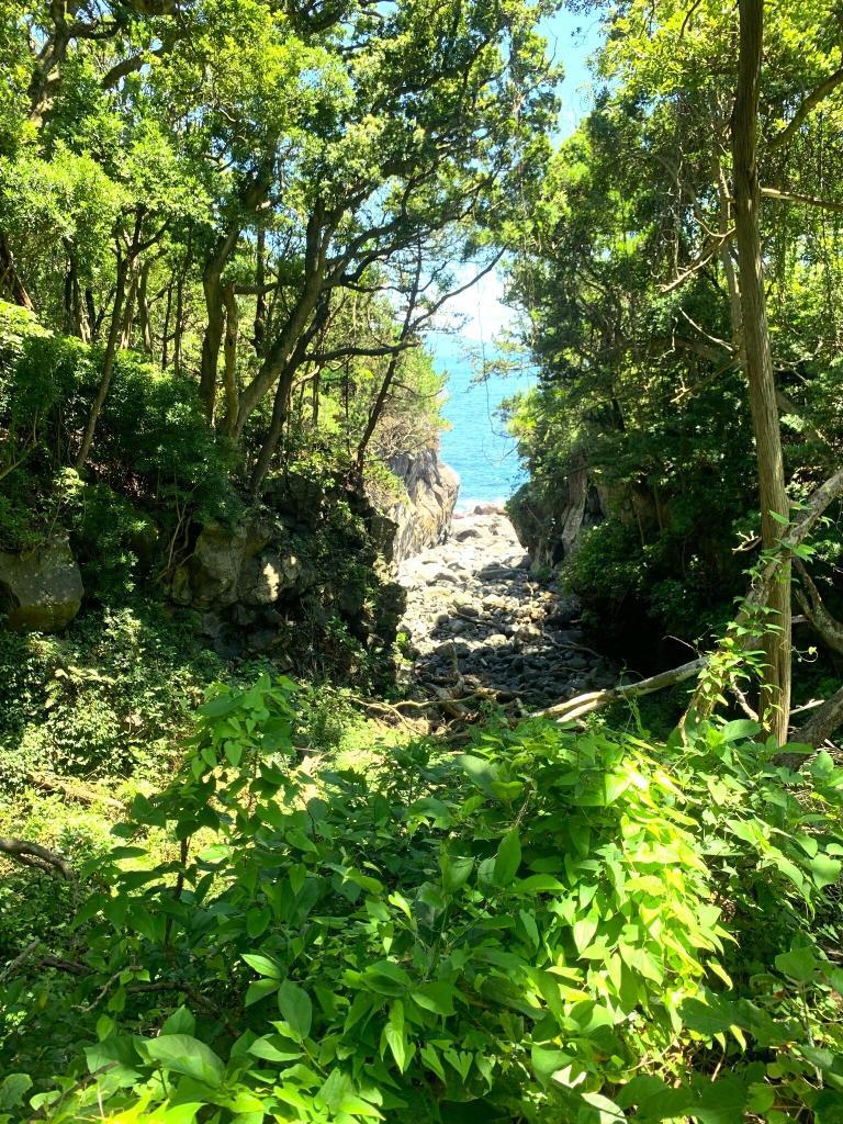 伊豆高原