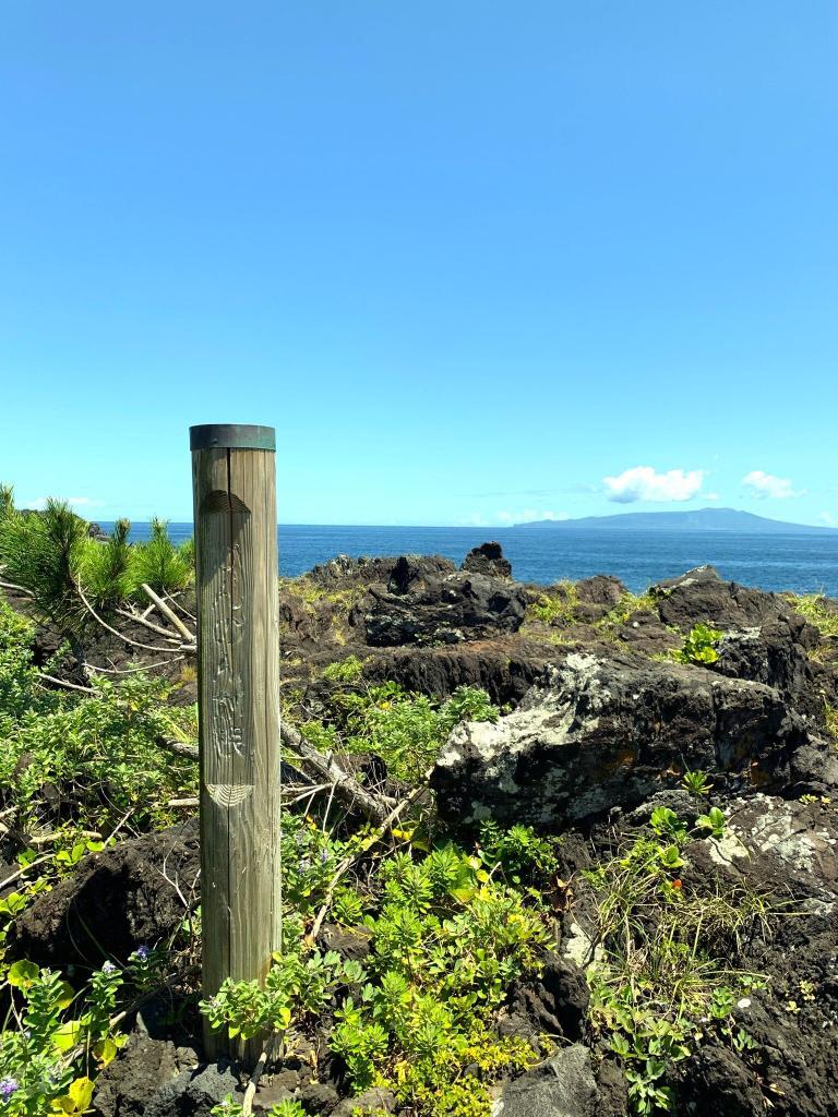 伊豆高原