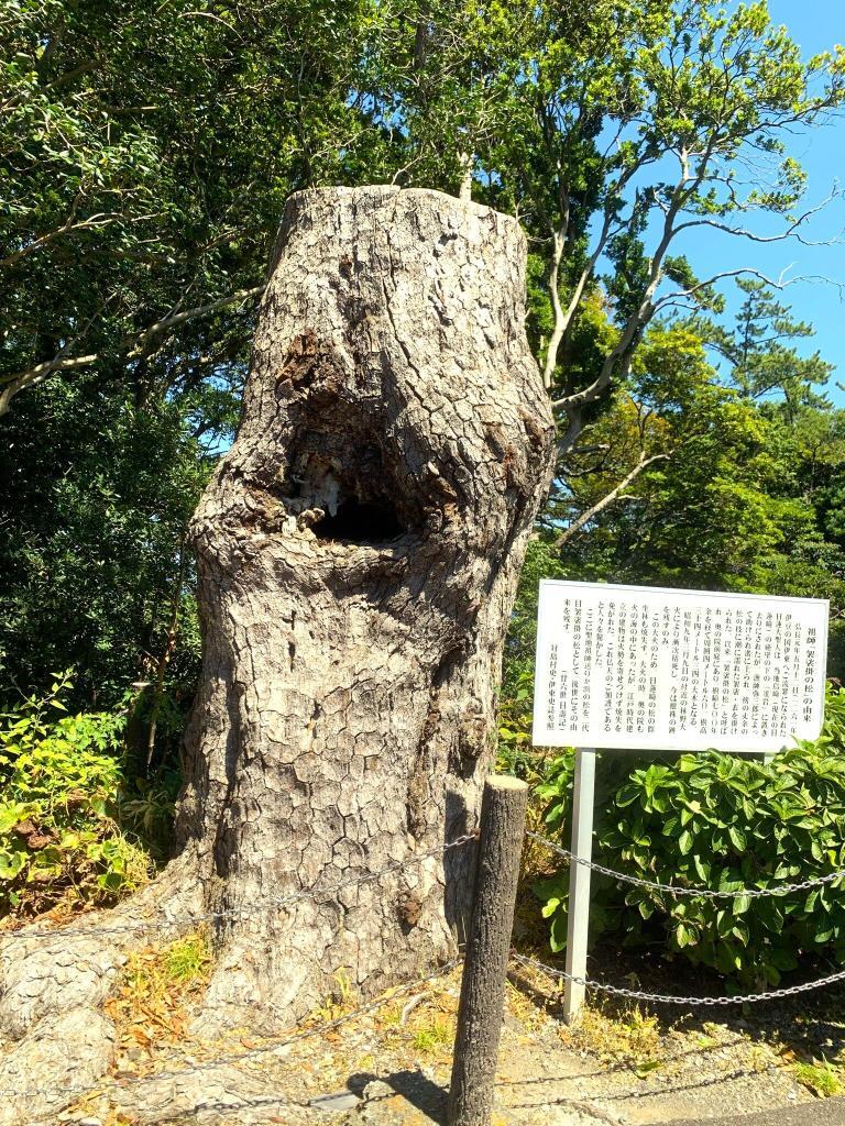 伊豆高原