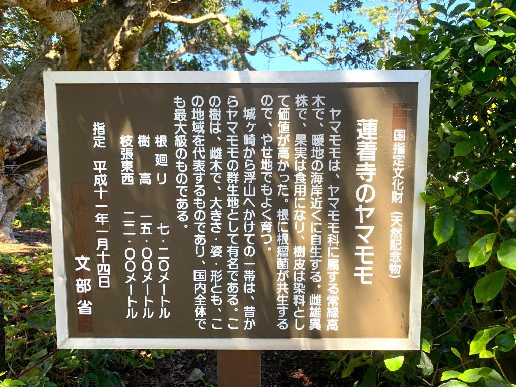 伊豆高原