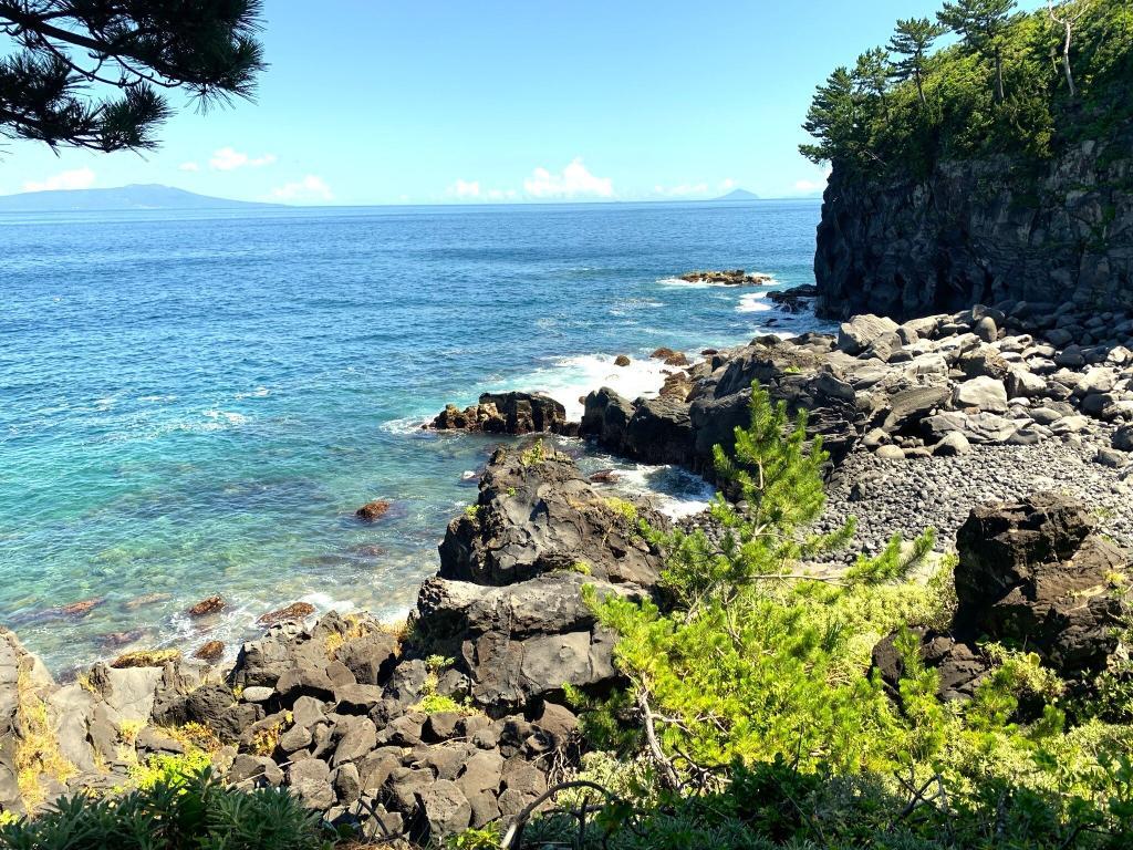 伊豆高原