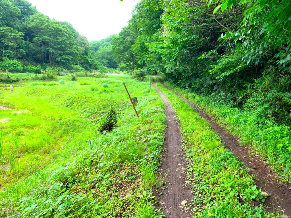 奥武蔵自然遊歩道