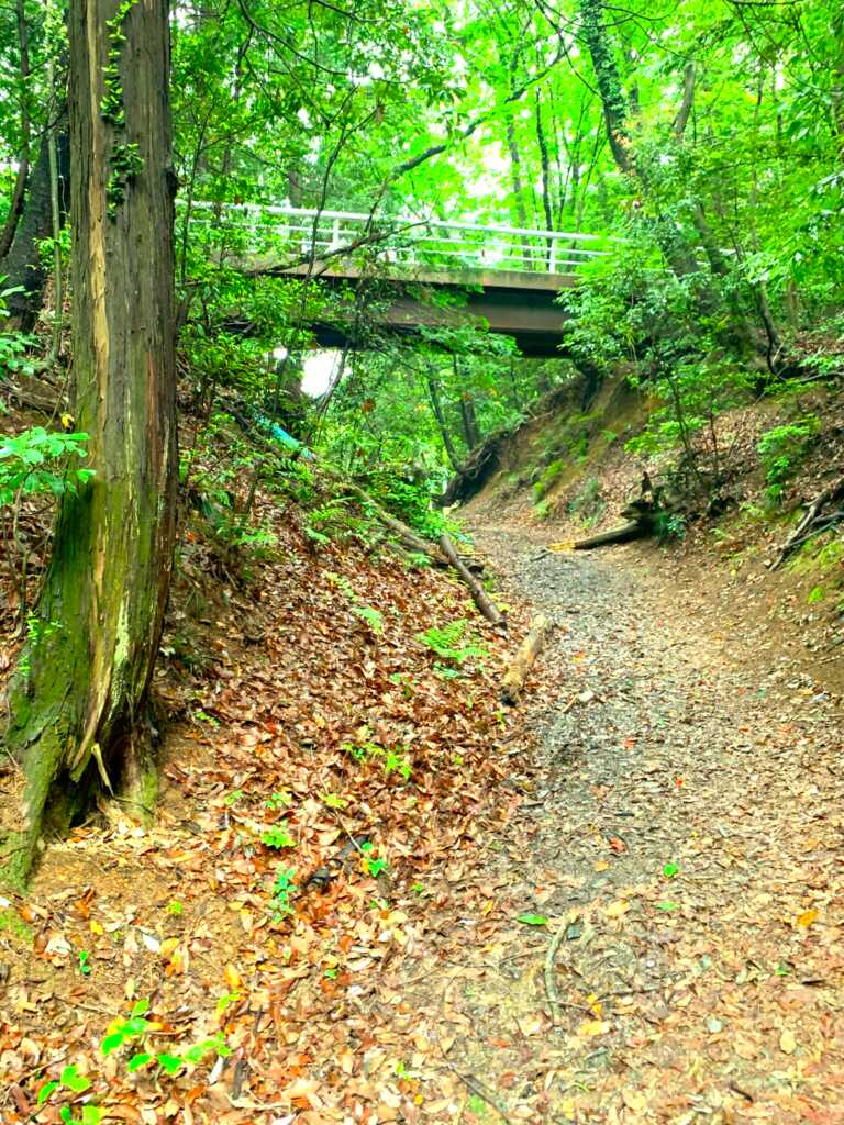 奥武蔵自然遊歩道